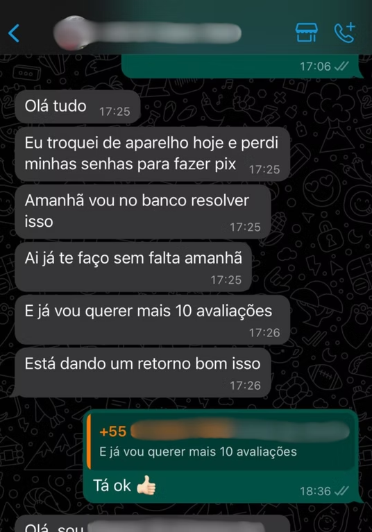 Conversa de cliente no WhatsApp pedindo mais avaliações — “Está dando um retorno bom isso”